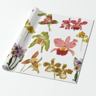 Vintage-Orchideen-Blumen-Botanischer-Garten-Kunst Geschenkpapier