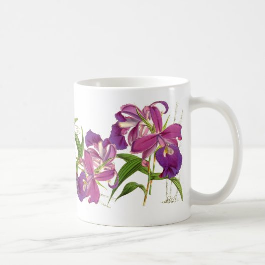Vintage Orchideen-Blumen-Tasse Kaffeetasse (Rechts)