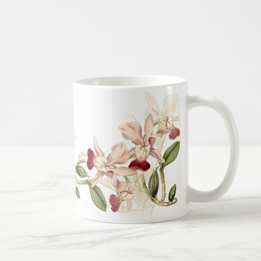 Vintage Orchideen-Blumen-Tasse Kaffeetasse (Rechts)