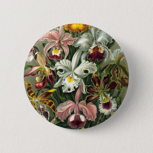 Vintage Orchideen Button (Vorderseite)