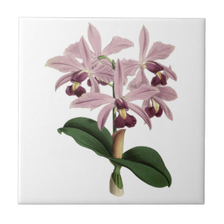 Vintage Orchideen-Fliese Fliese