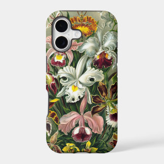 Vintage- Orchideen-Illustration von 1865
