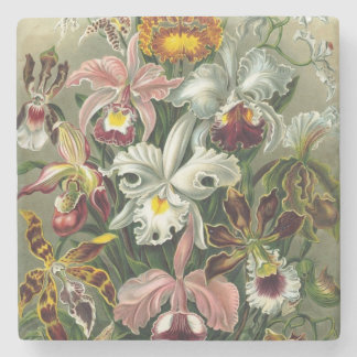 Vintage Orchideen - Kunstformen Ernst Haecke Steinuntersetzer
