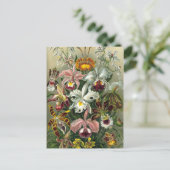 Vintage Orchideen Postkarte (Stehend Vorderseite)