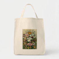 Vintage Orchideen