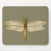 Vintage Ostdobsonfly-Illustration Mousepad (Vorne)