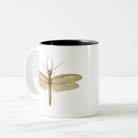 Vintage Ostdobsonfly-Illustration Zweifarbige Tasse (Vorderseite Links)