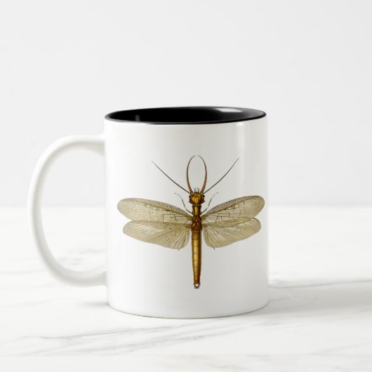 Vintage Ostdobsonfly-Illustration Zweifarbige Tasse (Links)