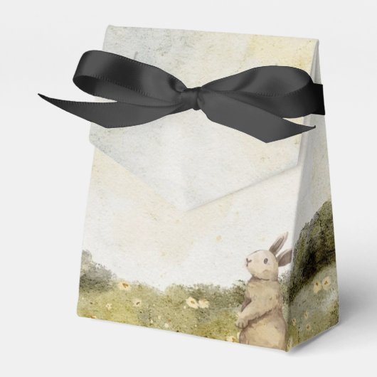 Vintage Osterboxen Gastgeschenk Geschenkschachtel (Vorderseite)