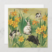 Vintage Osterbrunnen (1906), Feiertagskarte (Vorne/Hinten)