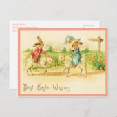 Vintage Osterbrunnens und Lämmer Postkarte (Vorne/Hinten)