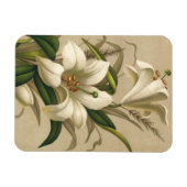 Vintage Osterlilien, Viktorianische Blume im Blut Magnet (Horizontal)
