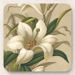 Vintage-Osterlilien, viktorianische Blumen in Blüt Untersetzer
