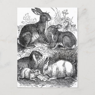 Vintage Ostern Postkarte