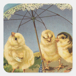 Vintage Ostern Süße Küken unter einem Sonnenschirm Quadratischer Aufkleber