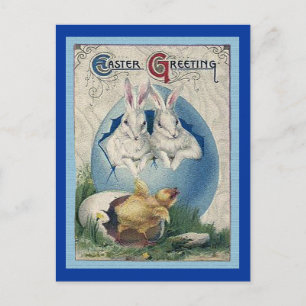 Vintage Ostern Weiße Kaninchen und Babyküken. ZSSG Feiertagspostkarte