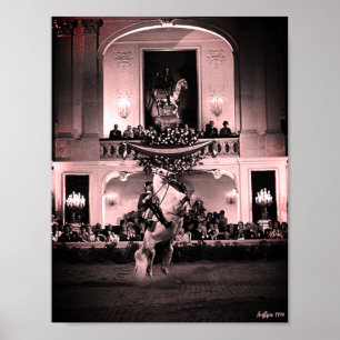 Vintage Österreich Wien Spanische Courbette Poster