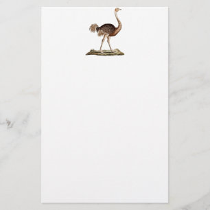 Vintage Ostrich-Illustration Retro 1700s Ostriches Briefpapier