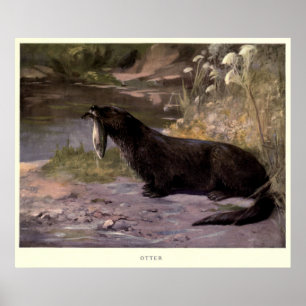 Vintage Otter-Malerei (1909) Poster