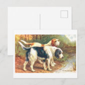 Vintage Otterhunde Postkarte (Vorne/Hinten)