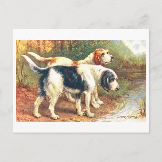 Vintage Otterhunde Postkarte (Vorderseite)