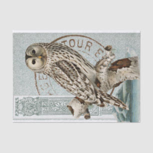 Vintage Owl Bird Aquamarin Decoupage Französisches Seidenpapier