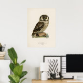 Vintage Owl Illustration Poster (Heimbüro)