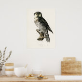 Vintage Owl Illustration Poster (Küche)