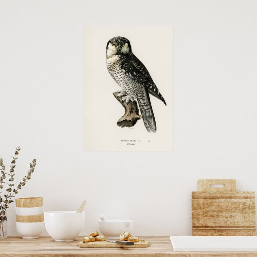 Vintage Owl Illustration Poster (Küche)