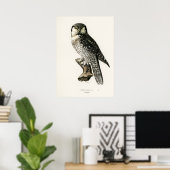 Vintage Owl Illustration Poster (Heimbüro)