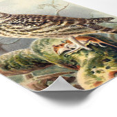 Vintage Owl Illustration Poster (Ecke)