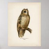 Vintage Owl Illustration Poster (Vorne)