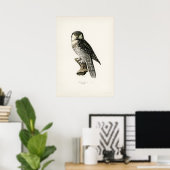 Vintage Owl Illustration Poster (Heimbüro)