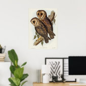 Vintage Owl Illustration Poster (Heimbüro)