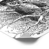 Vintage Owl Illustration Poster (Ecke)