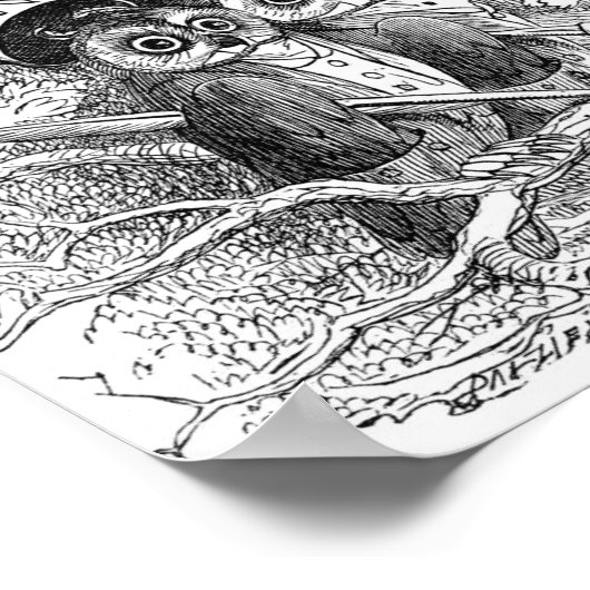 Vintage Owl Illustration Poster (Ecke)