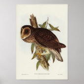 Vintage Owl Illustration Poster (Vorne)