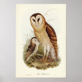 Vintage Owl Illustration Poster (Vorne)