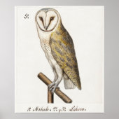 Vintage Owl Illustration Poster (Vorne)