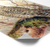 Vintage Owl Illustration Poster (Ecke)