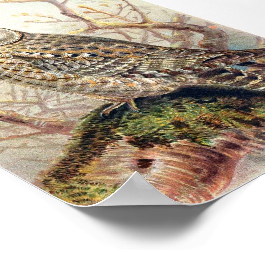 Vintage Owl Illustration Poster (Ecke)