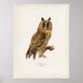 Vintage Owl Illustration Poster (Vorne)