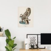 Vintage Owl Illustration Poster (Heimbüro)