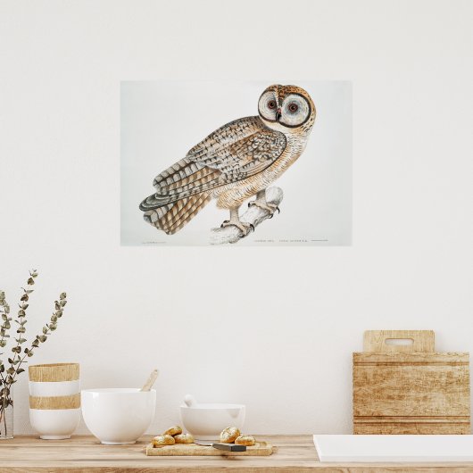 Vintage Owl Illustration Poster (Küche)