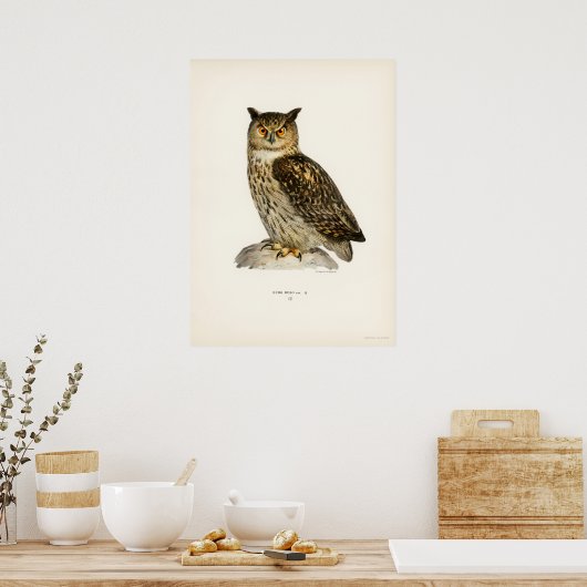 Vintage Owl Illustration Poster (Küche)