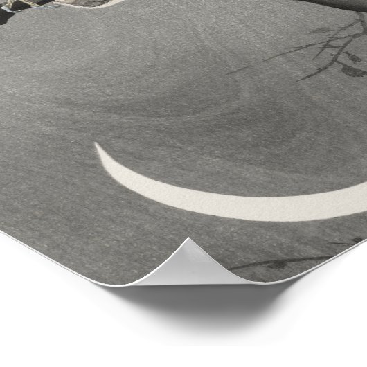 Vintage Owl Illustration Poster (Ecke)