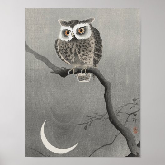 Vintage Owl Illustration Poster (Vorne)