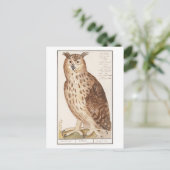 Vintage Owl Illustration Postkarte (Stehend Vorderseite)