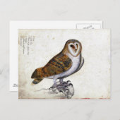 Vintage Owl Illustration Postkarte (Vorne/Hinten)