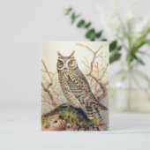 Vintage Owl Illustration Postkarte (Stehend Vorderseite)
